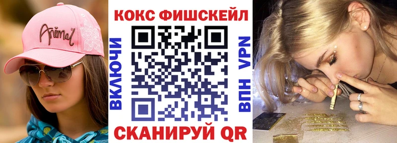 где найти   Суджа  КОКАИН FishScale 
