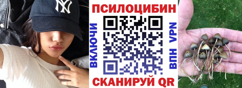 Галлюциногенные грибы мухоморы  купить наркотик  Суджа 