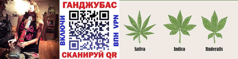 мега как зайти  Суджа  Бошки марихуана индика 